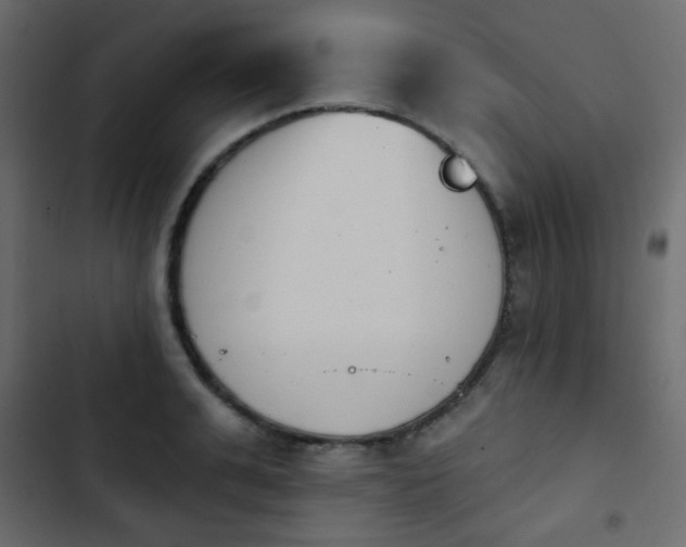 X0000103930991200809261700