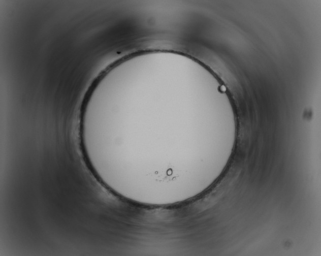 X0000103930992200809261659