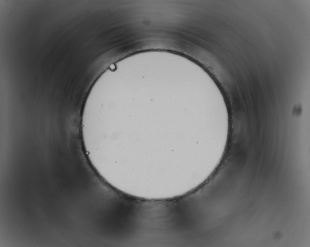 X0000103930993200809261659