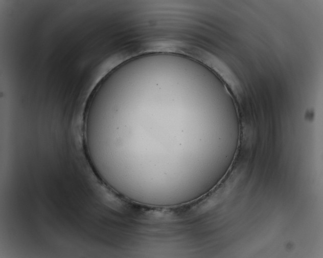 X0000103930994200809261659