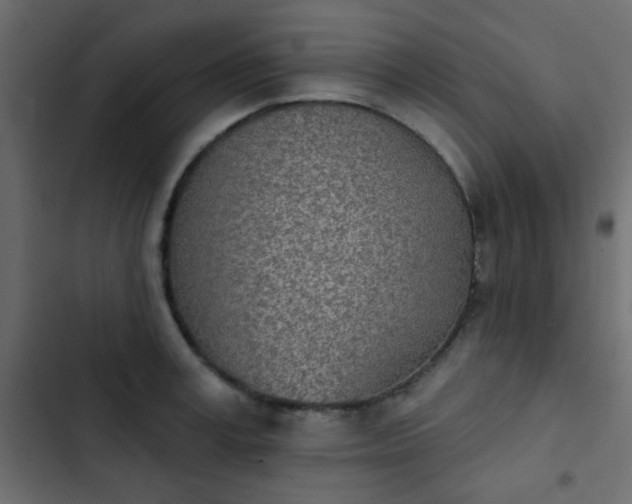 X0000103930995200809261659