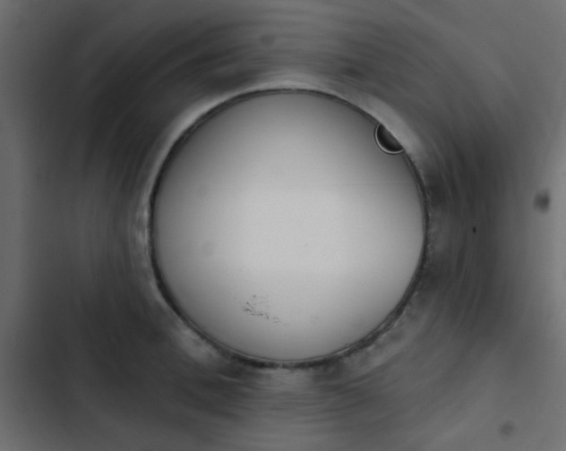 X0000103930996200809261659