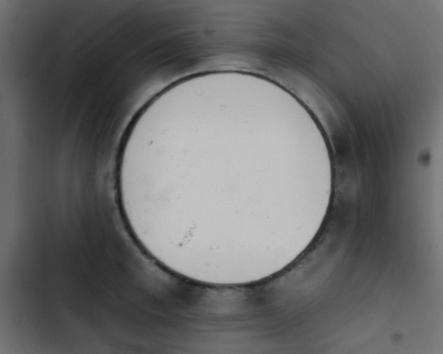 X0000103930997200809261659