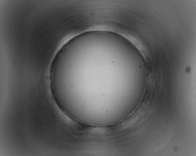 X0000103930998200809261659