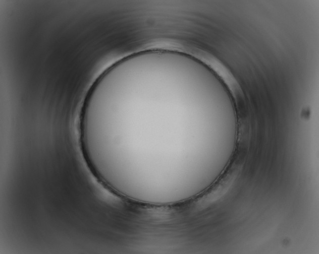 X0000103930999200809261659