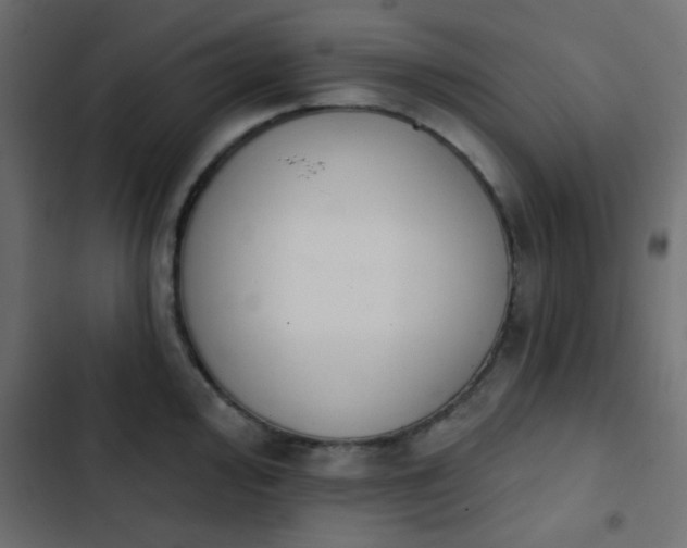 X0000103931000200809261659