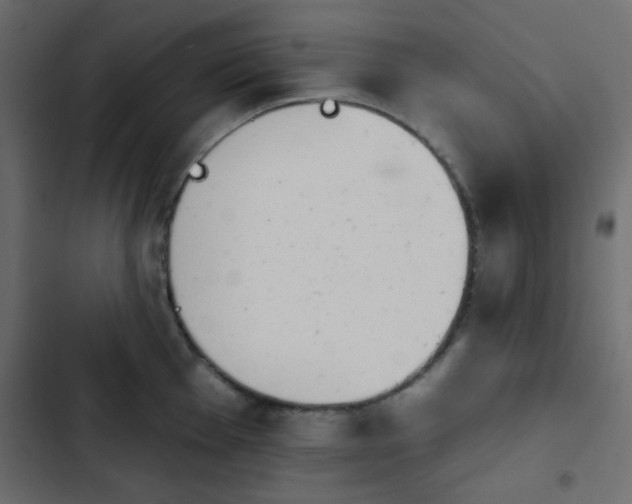 X0000103931001200809261659
