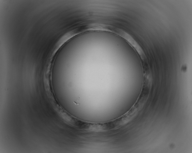 X0000103931002200809261659