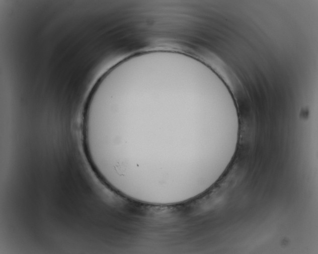 X0000103931003200809261659
