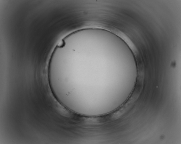 X0000103931004200809261659