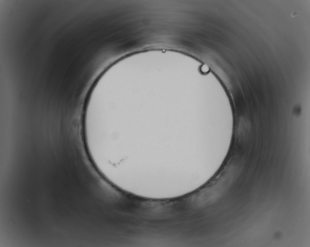 X0000103931005200809261659