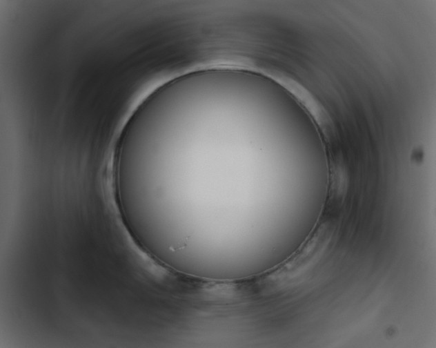X0000103931006200809261659