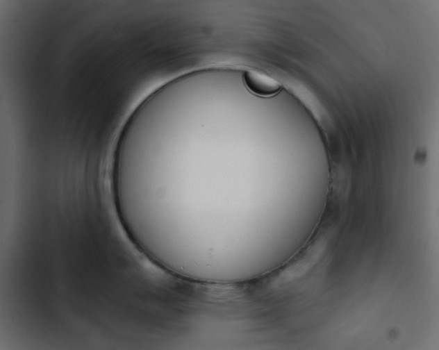 X0000103931007200809261659