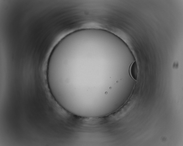X0000103931008200809261659