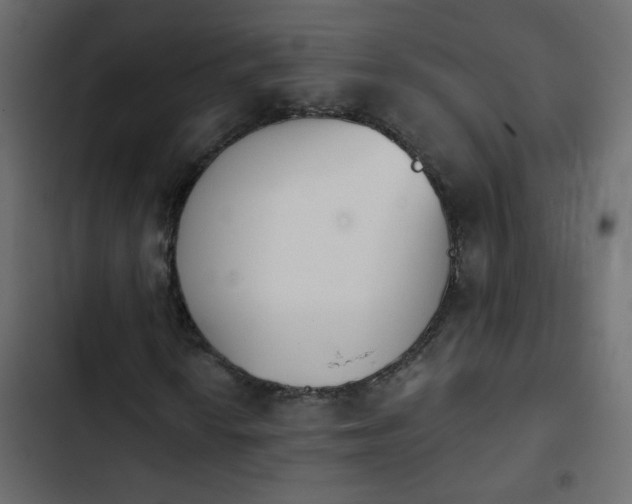 X0000103931010200809261659