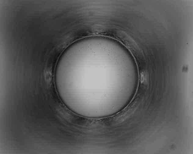 X0000103931011200809261659