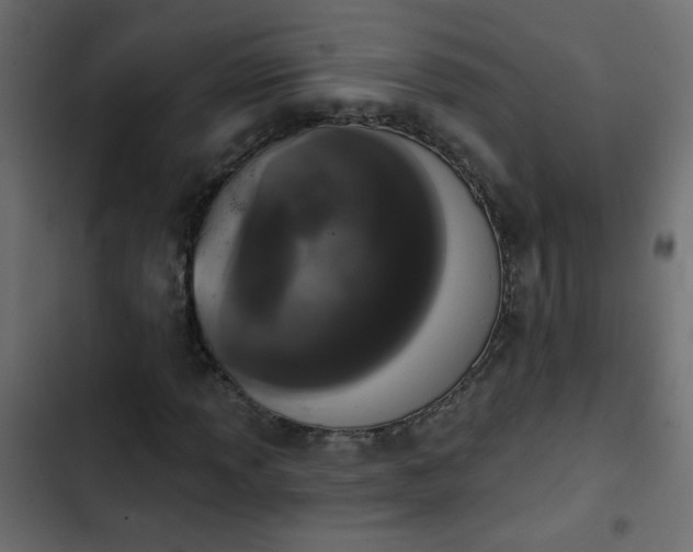 X0000103931013200809261659