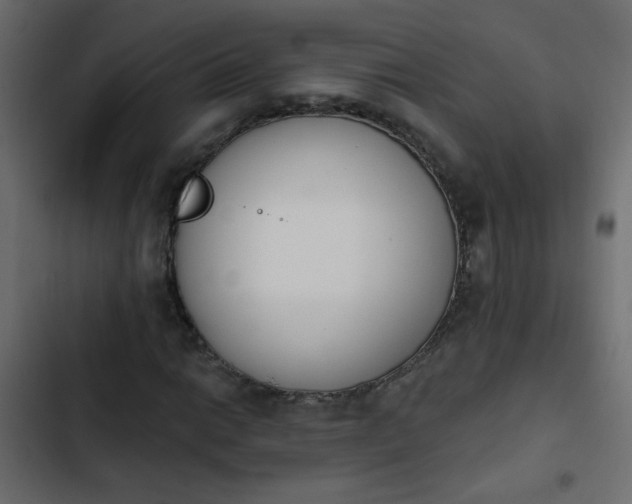 X0000103931014200809261659