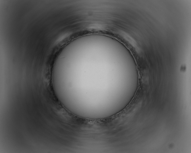 X0000103931015200809261659