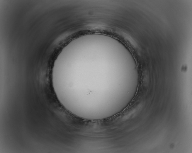 X0000103931016200809261659