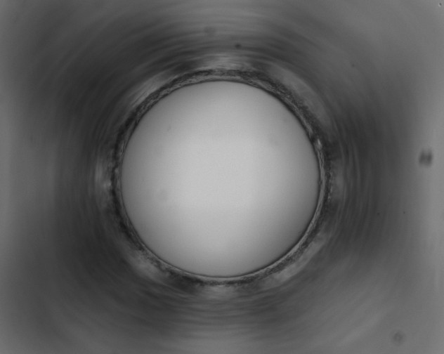 X0000103931017200809261659