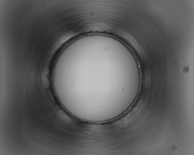 X0000103931018200809261659