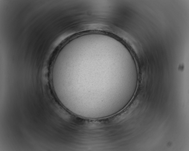 X0000103931019200809261659