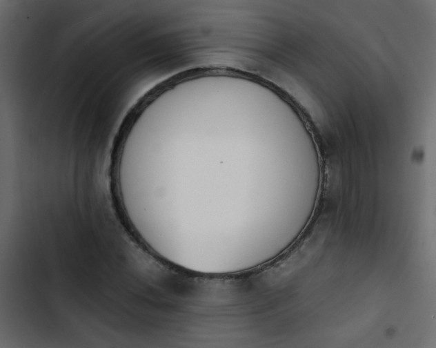 X0000103931020200809261659