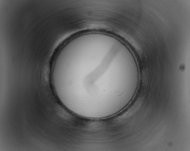 X0000103931021200809261659