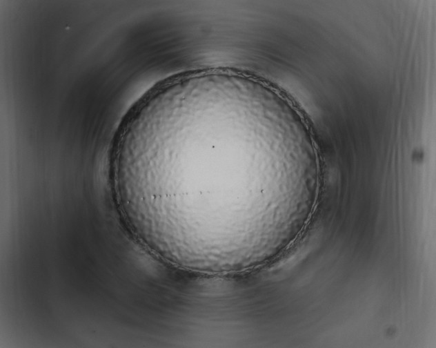 X0000103931023200809261659