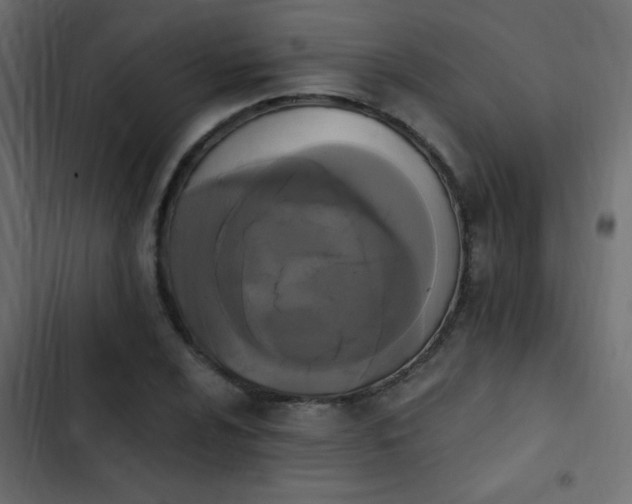 X0000103931024200809261659