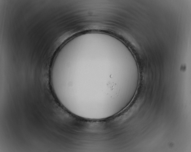 X0000103931025200809261659
