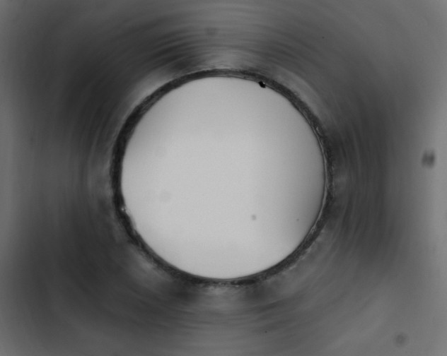 X0000103931026200809261659
