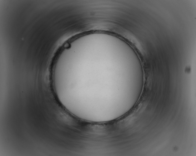 X0000103931027200809261659
