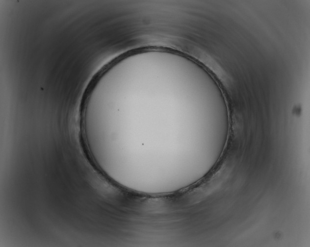 X0000103931028200809261659