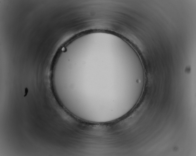 X0000103931029200809261659