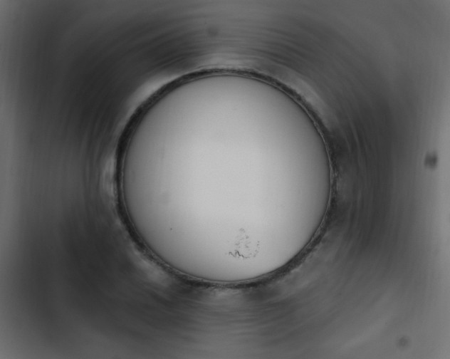 X0000103931030200809261659