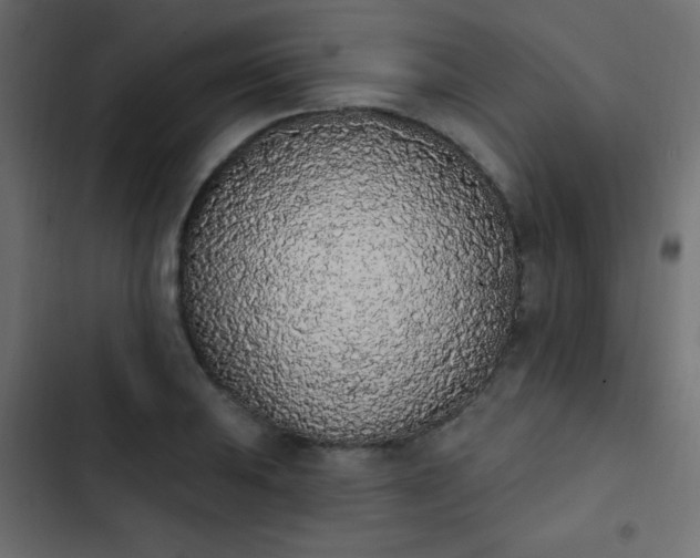 X0000103931031200809261659