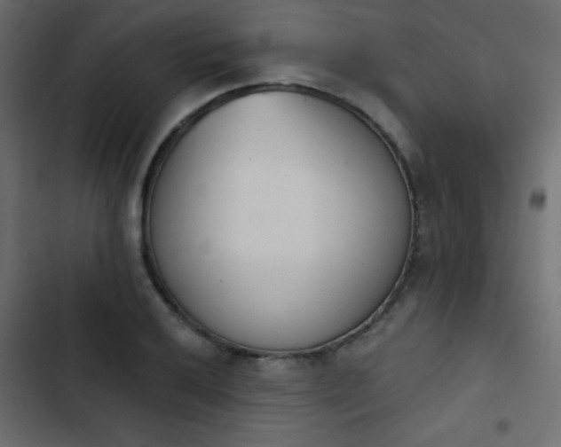 X0000103931032200809261659