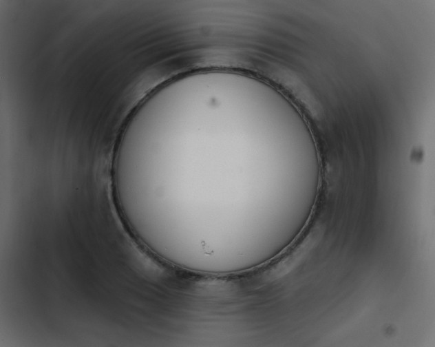 X0000103931033200809261659