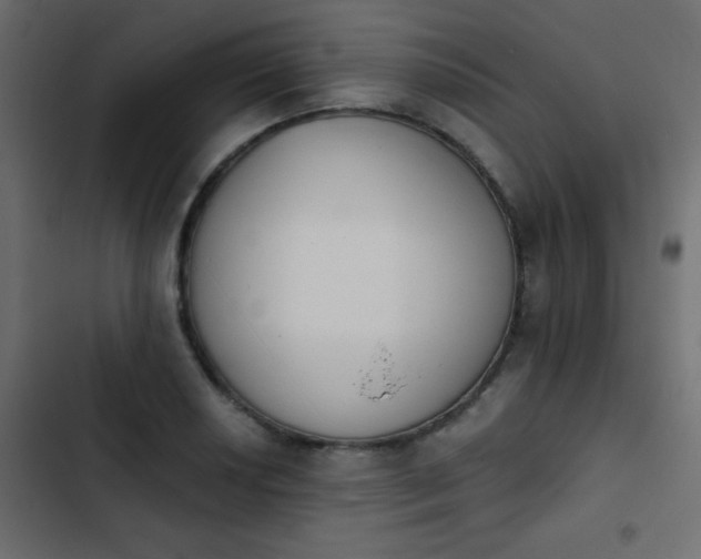 X0000103931034200809261659