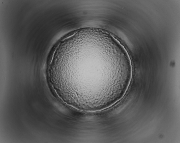 X0000103931035200809261659
