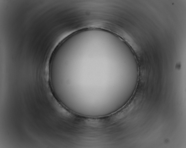 X0000103931036200809261659
