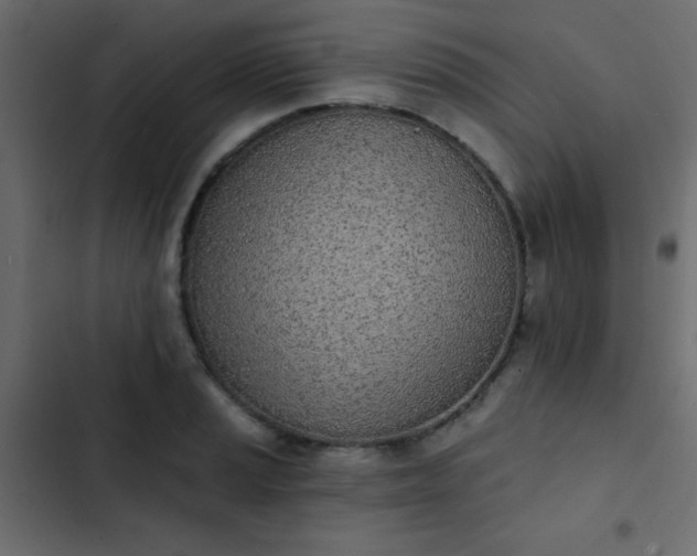 X0000103931037200809261659