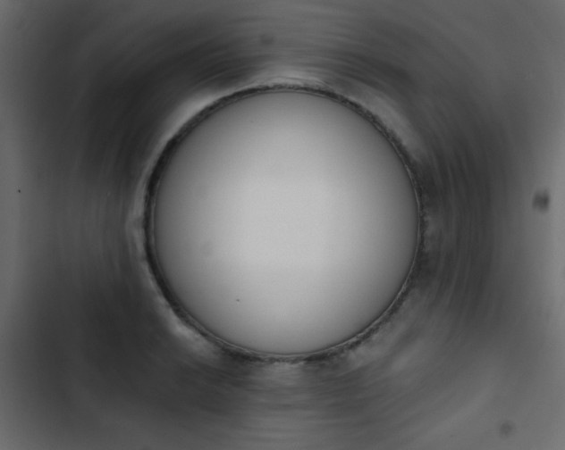 X0000103931038200809261659