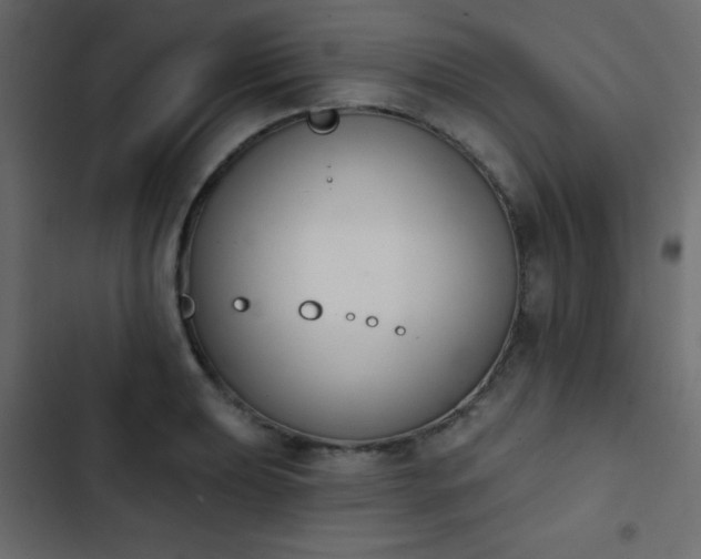 X0000103931039200809261659