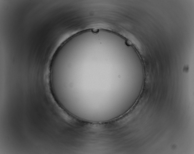 X0000103931040200809261659