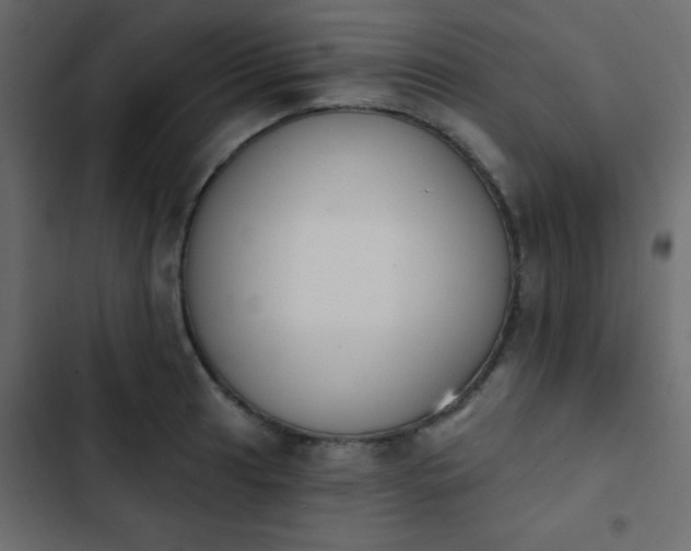 X0000103931041200809261659