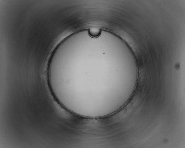 X0000103931042200809261659