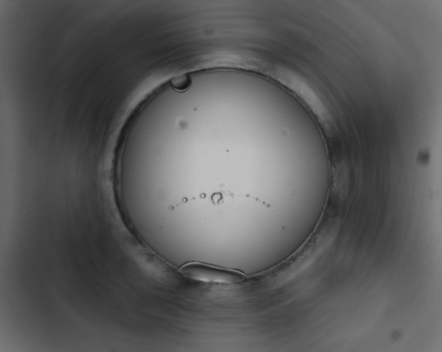X0000103931043200809261659